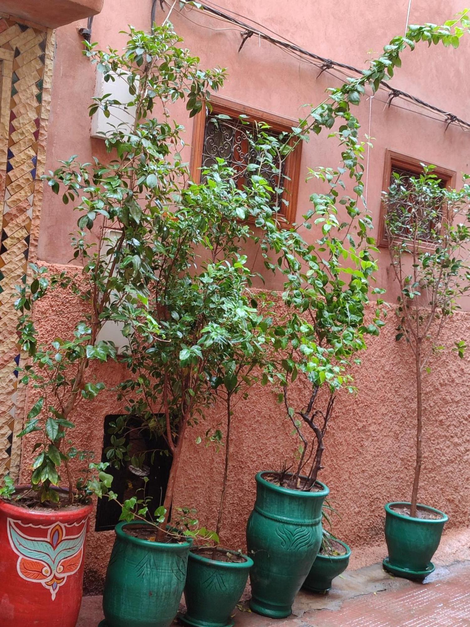 Riad Zahri 마라케시 외부 사진